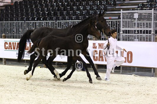 PRINCESS LIESA_MILANO_2010_SS3_7448.jpg